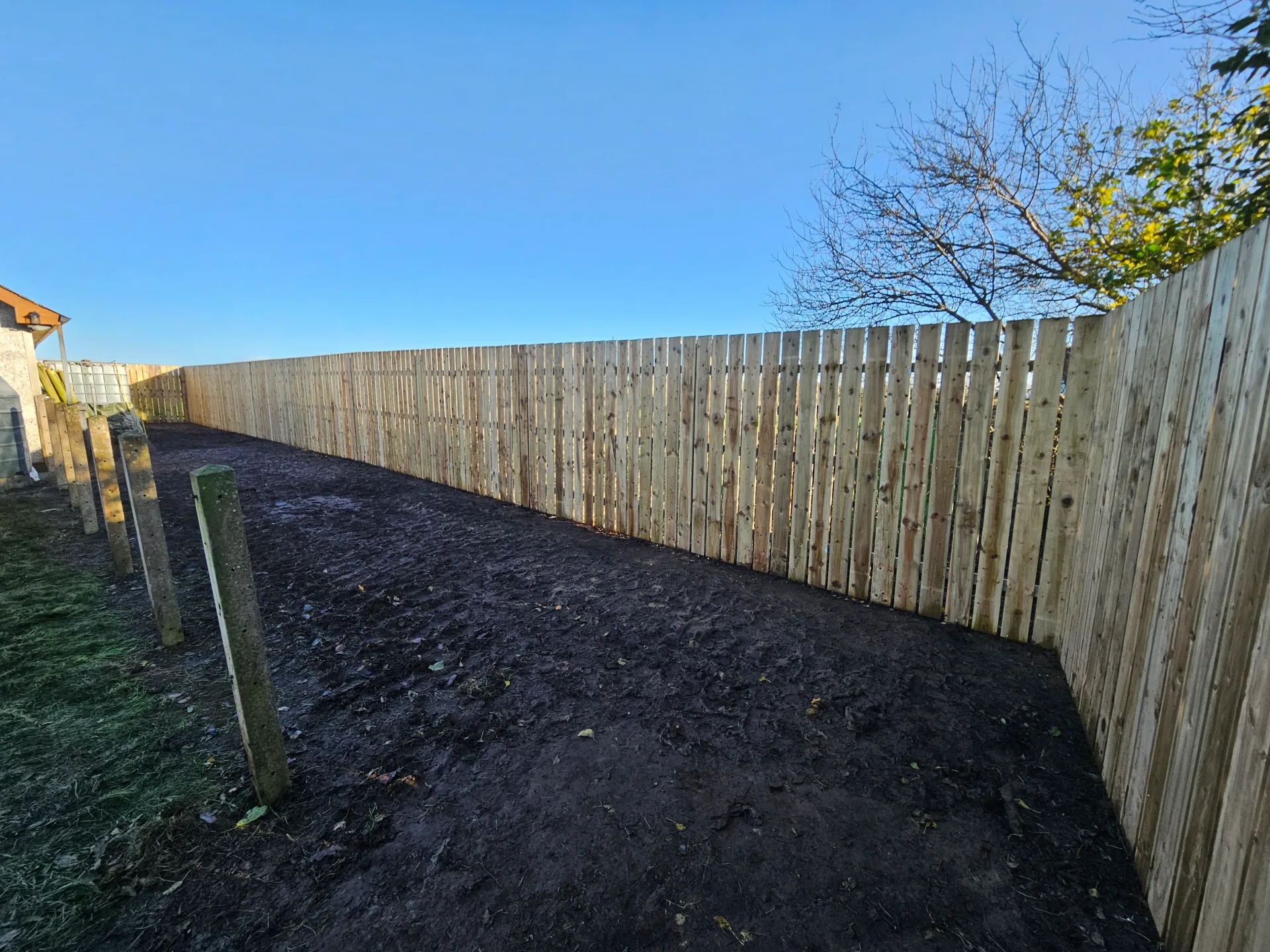 Best Garden Fence Types in Ireland — A Complete Guide