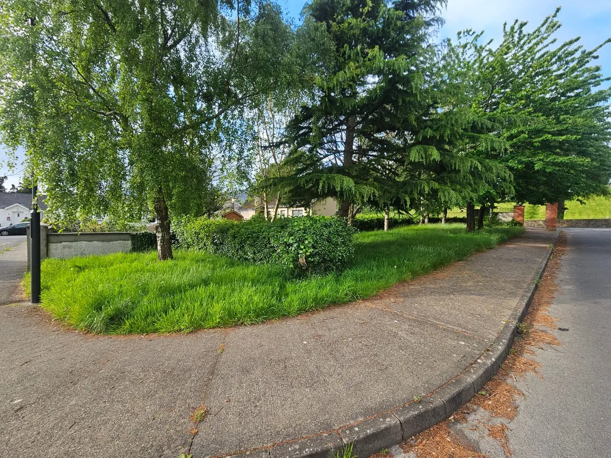 Before β Omeath Grass & Hedge Commercial Maintenance