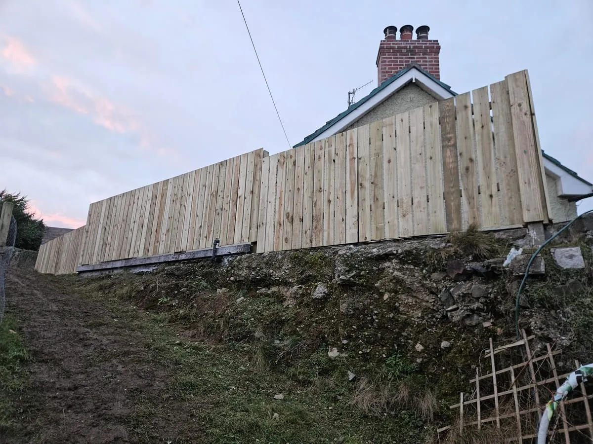 Garden Screening Ideas for Irish Gardens — Practical Guide