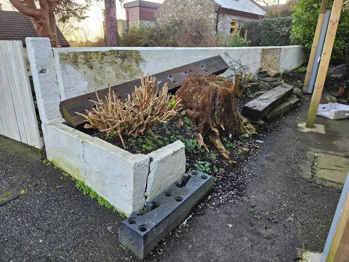 Before β Carlingford Garden Landscaping