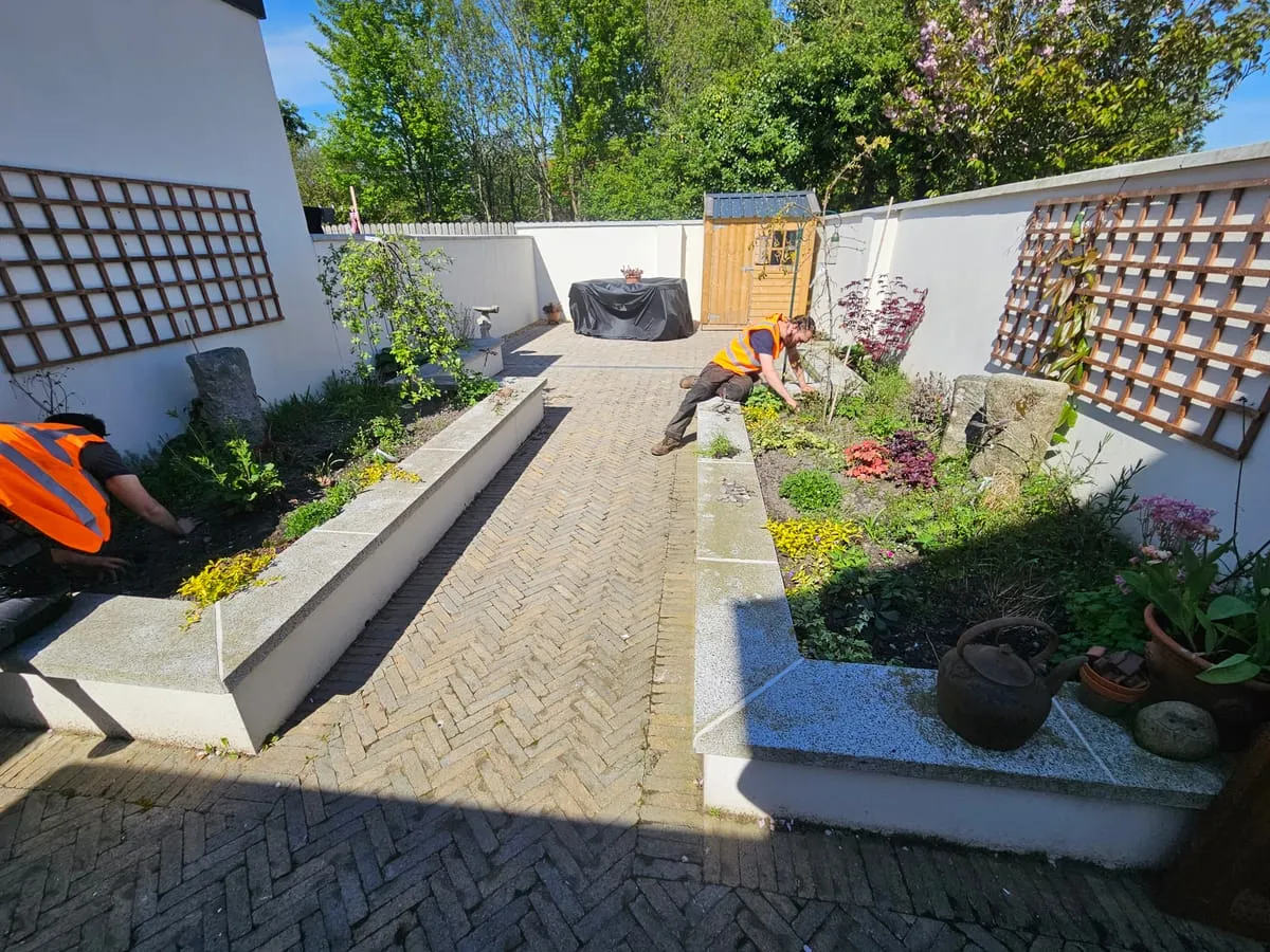 Before β Haynestown Garden Landscaping