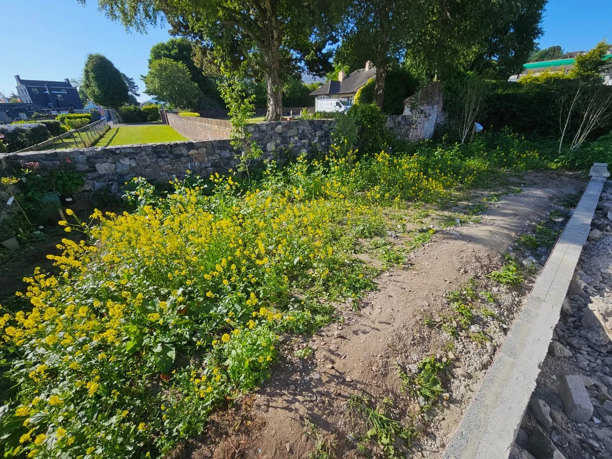Before β Omeath Lawn Garden Landscaping