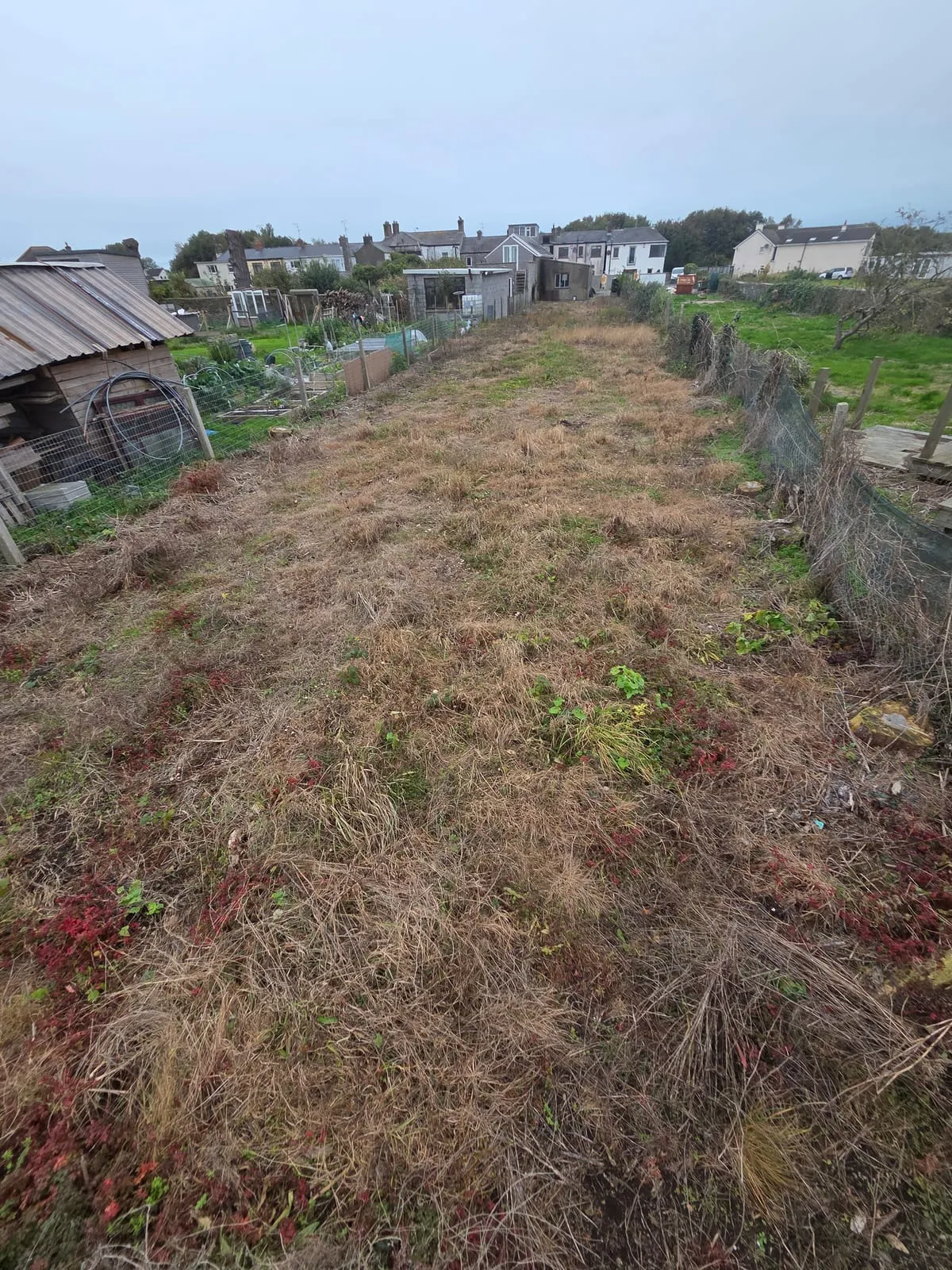 Before β Point Road Garden Landscaping