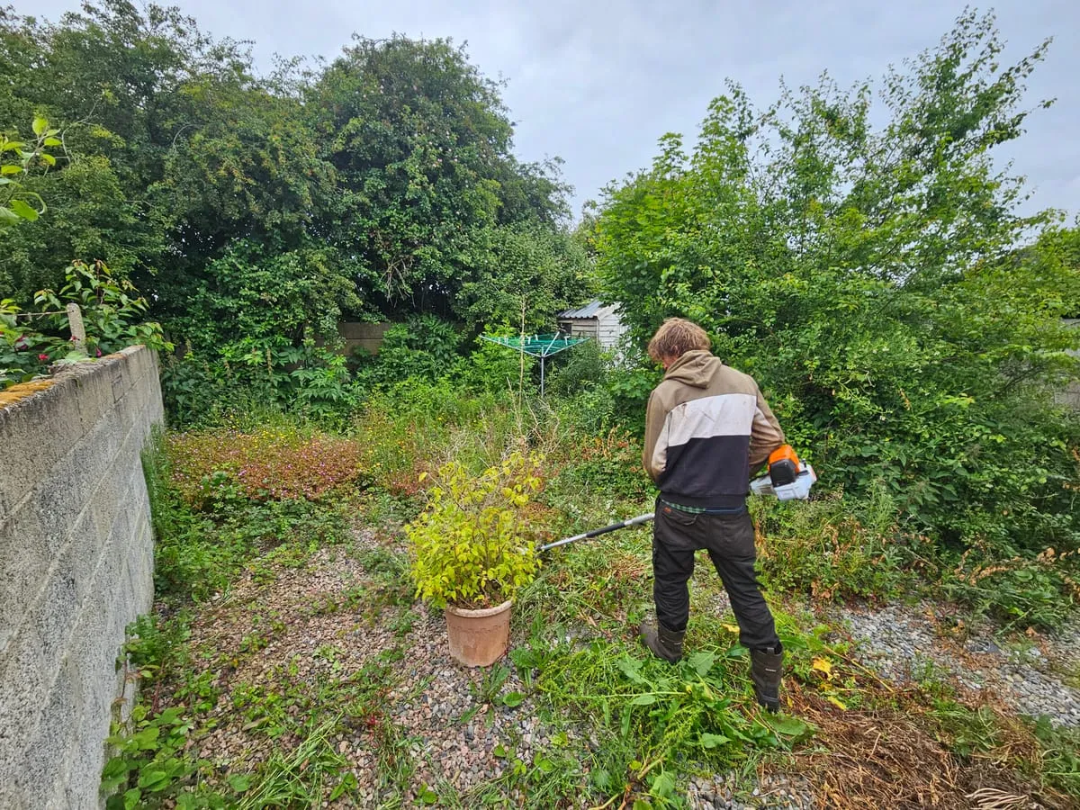 Before β Blackrock Garden Transformations