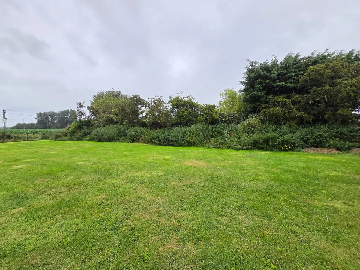 Before β Dromiskin Garden Transformations