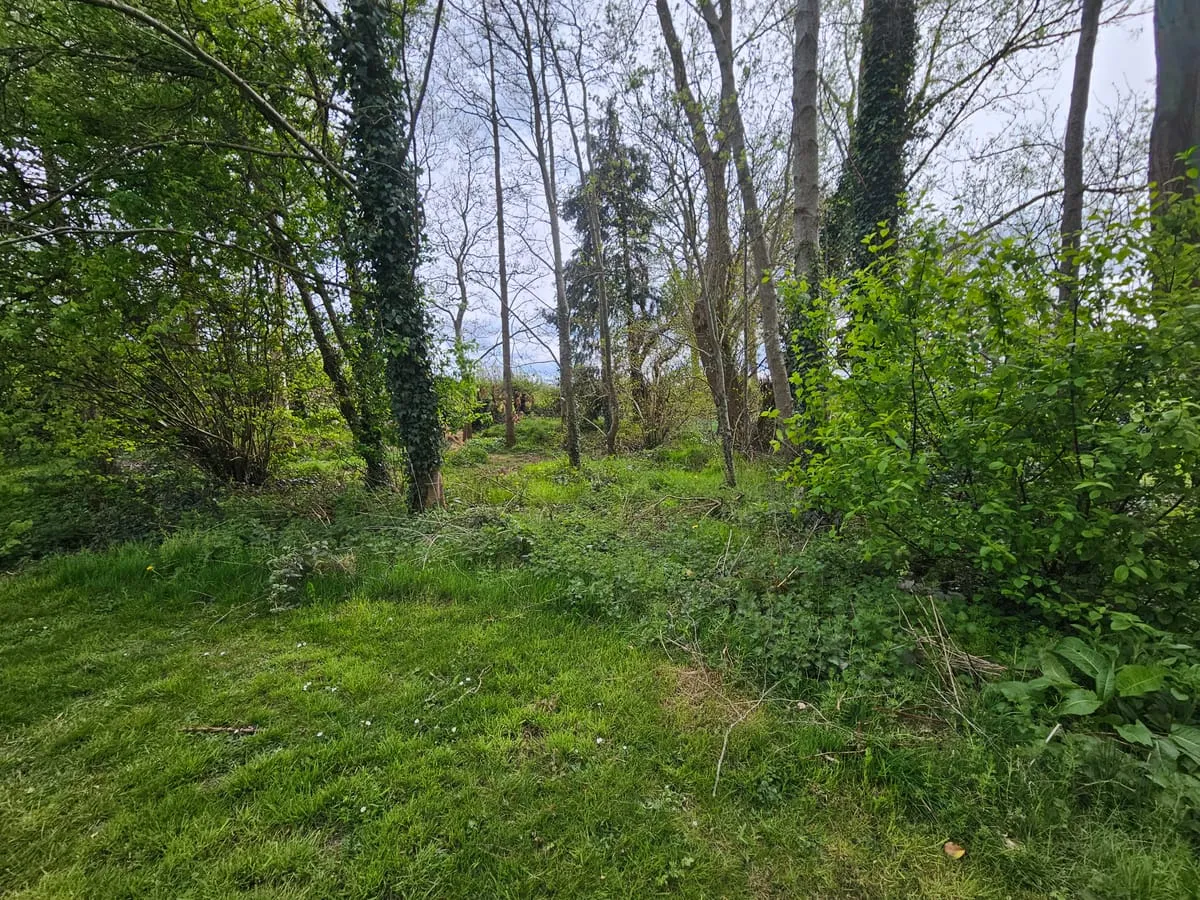 Before β Kilcurry Garden Transformations