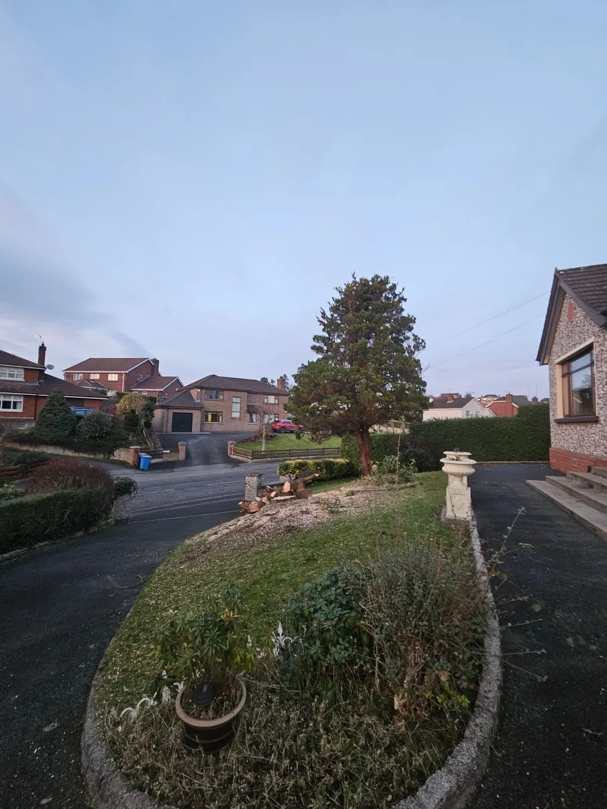 After — Newry Tree Planting & Removals
