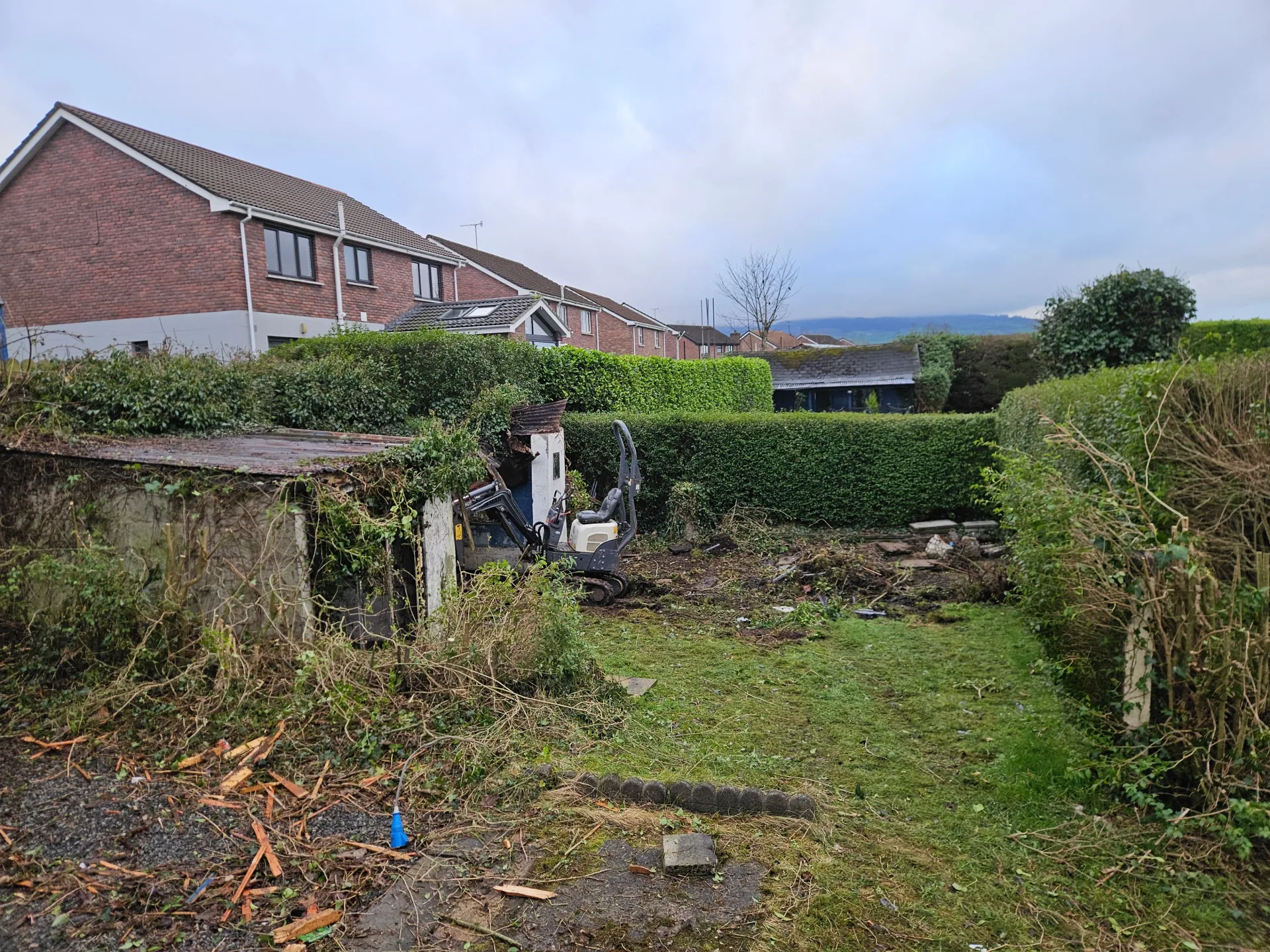 Gardening project 5 — Seamus & Pete, County Louth