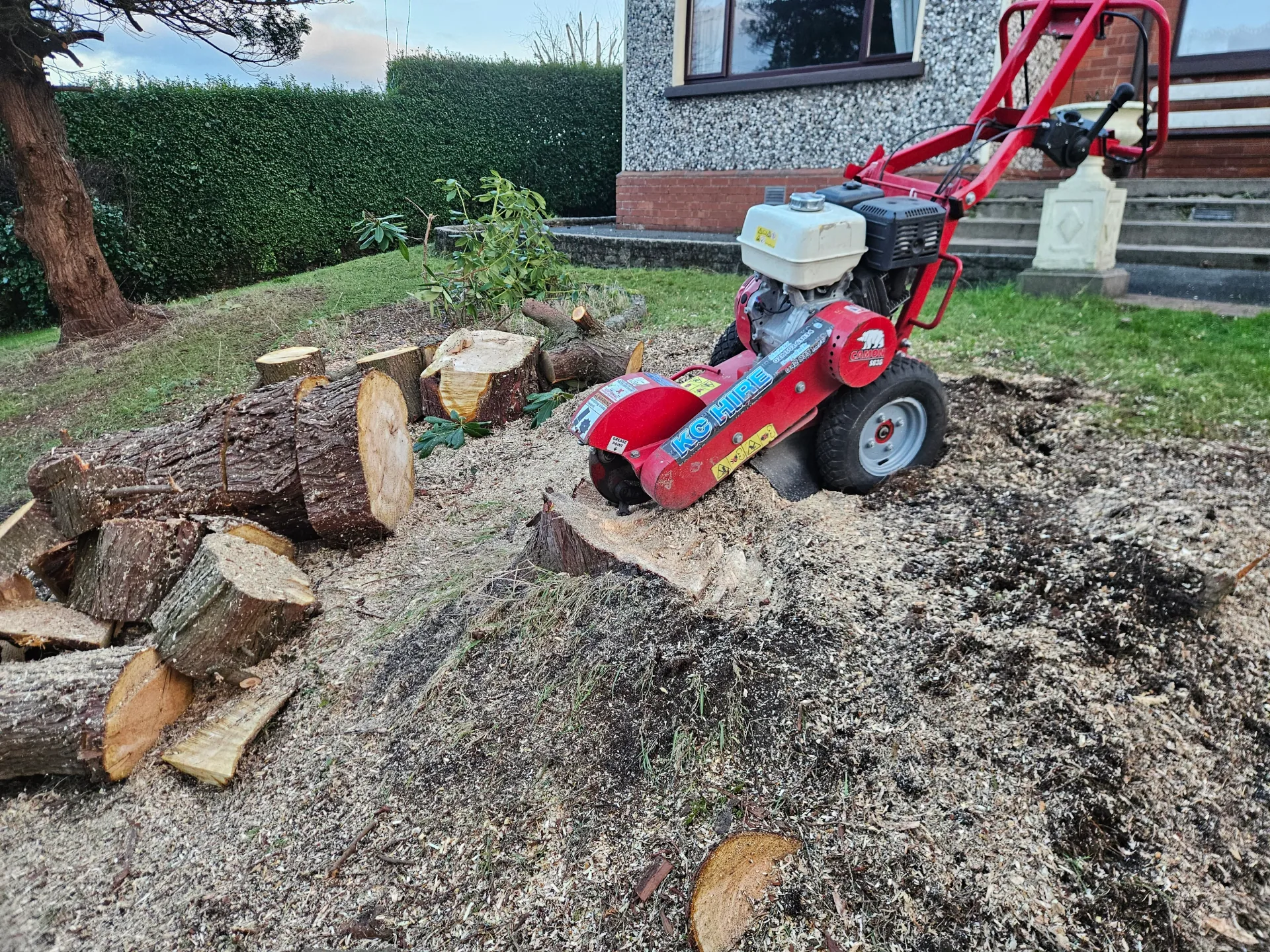 Gardening project 9 — Seamus & Pete, County Louth