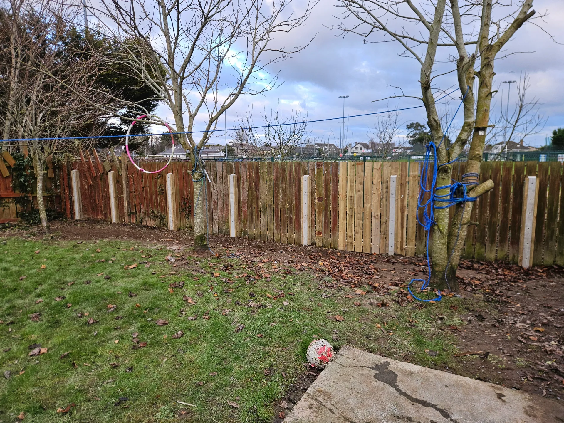Gardening project 29 — Seamus & Pete, County Louth
