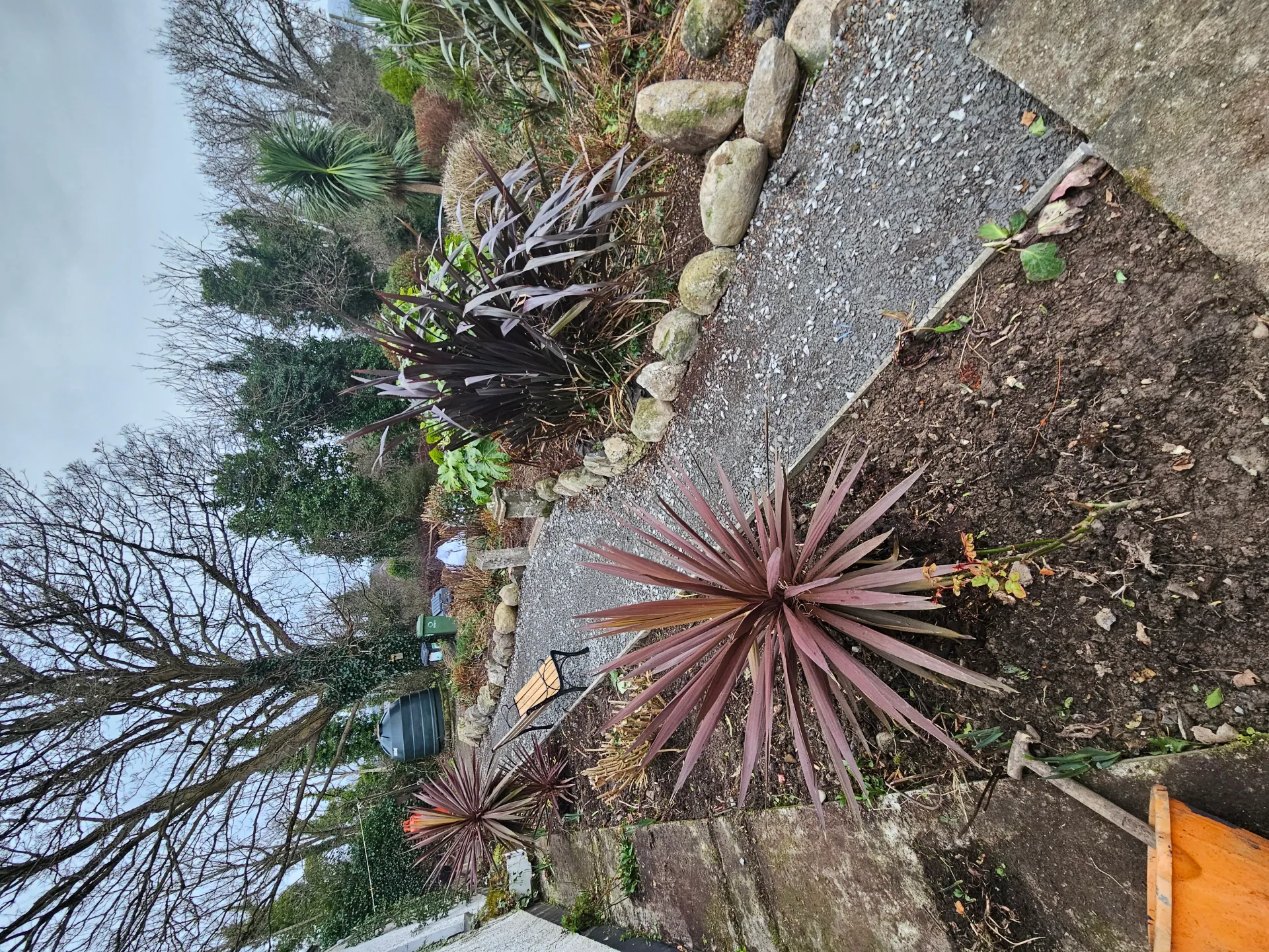 Gardening project 36 — Seamus & Pete, County Louth