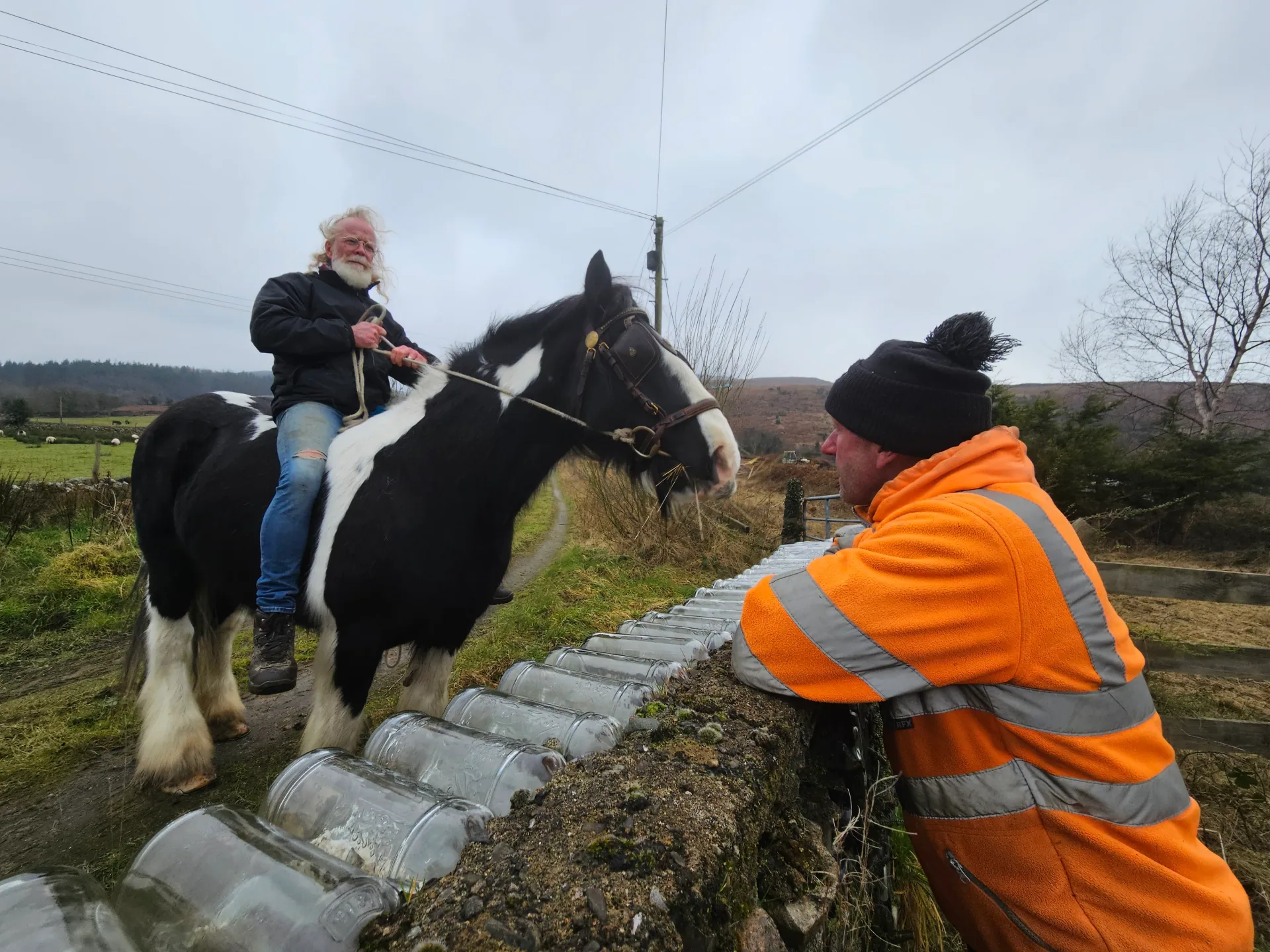 Gardening project 37 — Seamus & Pete, County Louth