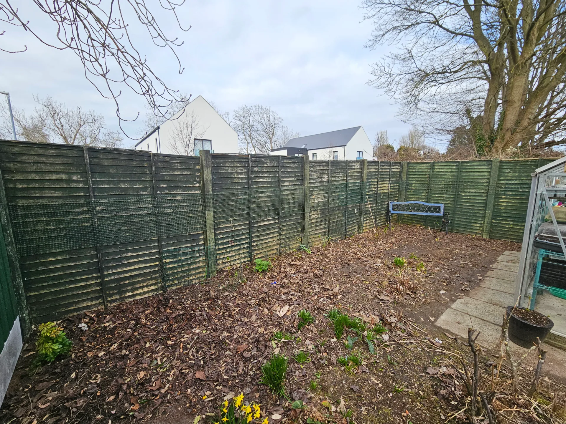 Gardening project 39 — Seamus & Pete, County Louth