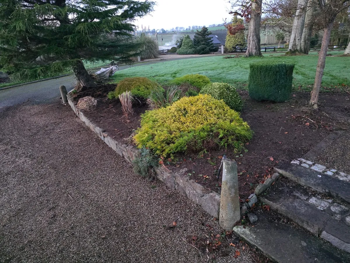 Castlebellingham Garden Clean Up - Reclaiming a Beautiful Space