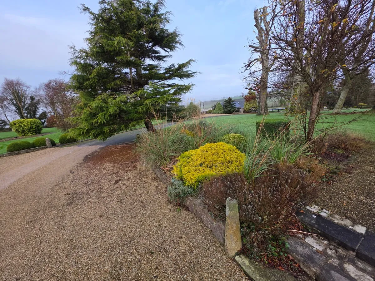 Another area showing the extent of the overgrowth