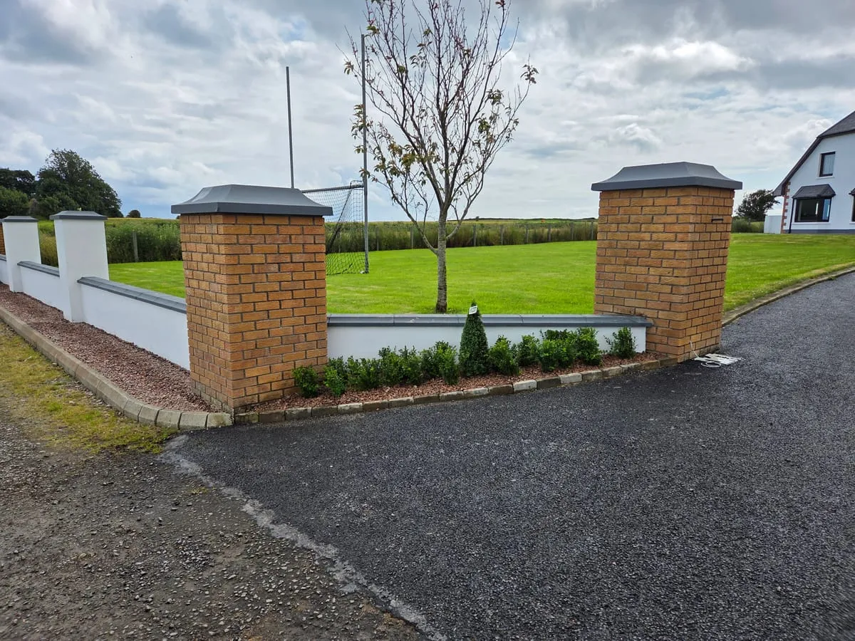 How to Kill Moss on a Tarmac Driveway — Irish Guide