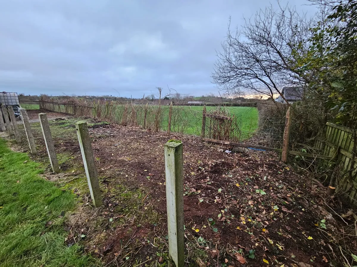 The old fence before replacement
