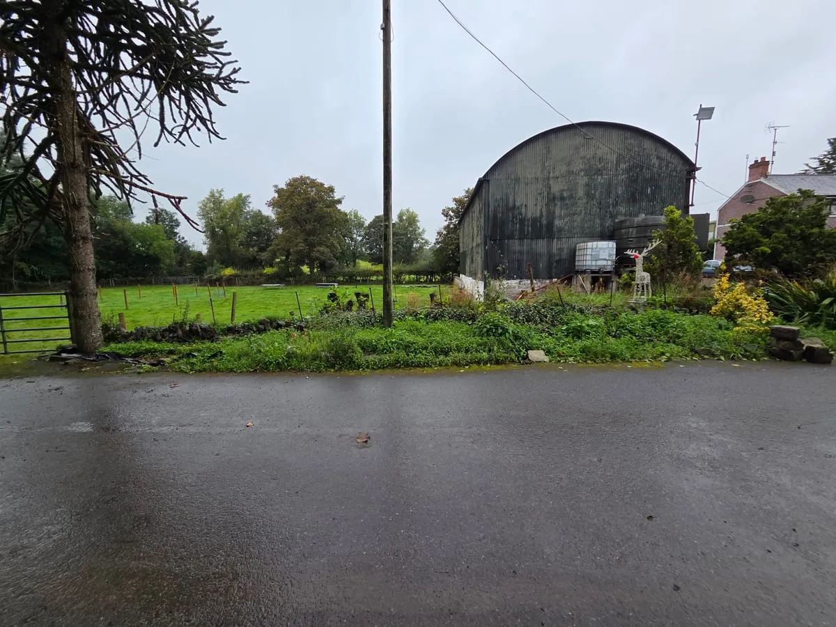Another view of the bare garden