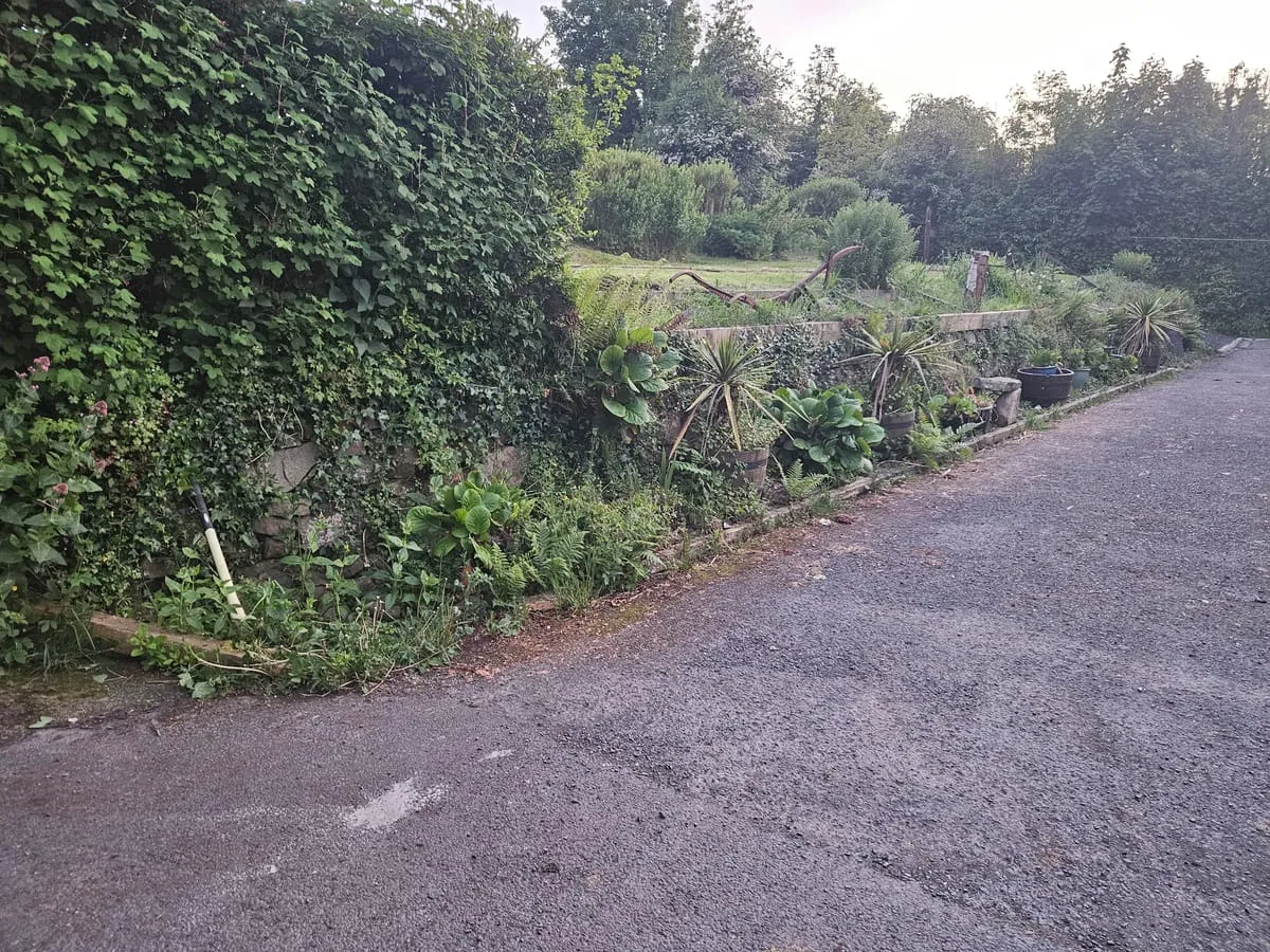 The garden before kerb installation