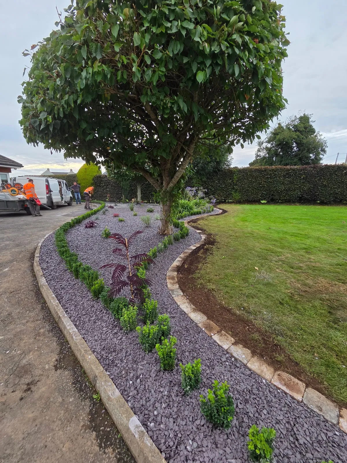 Lawn Scarifying in Ireland: When, Why & How to Do It