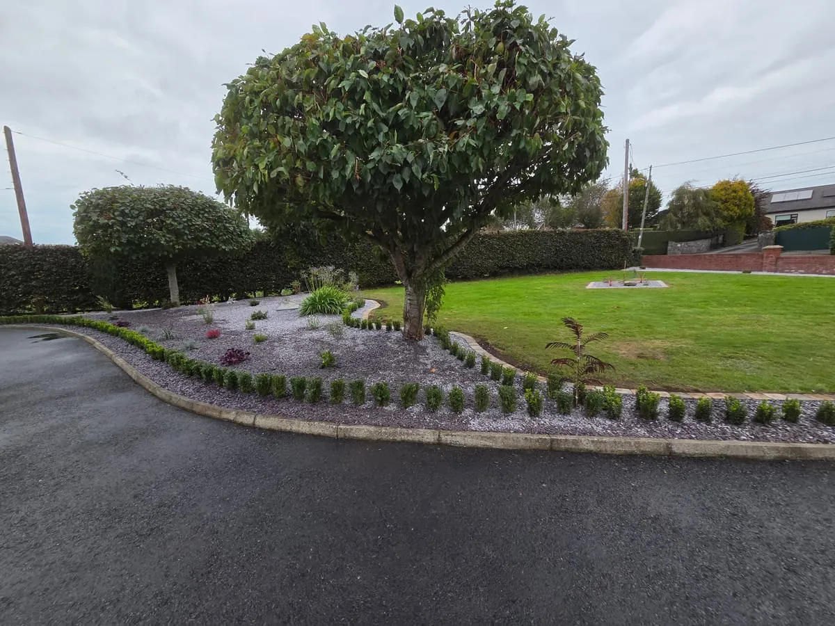 Garden Slope Ideas: How to Landscape a Sloped Garden in Ireland