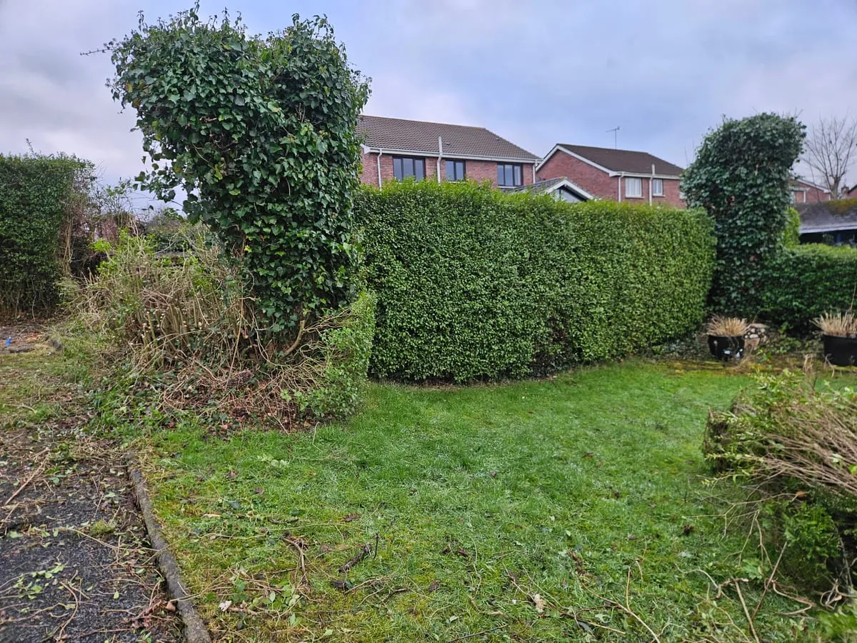 The overgrown perimeter before work began