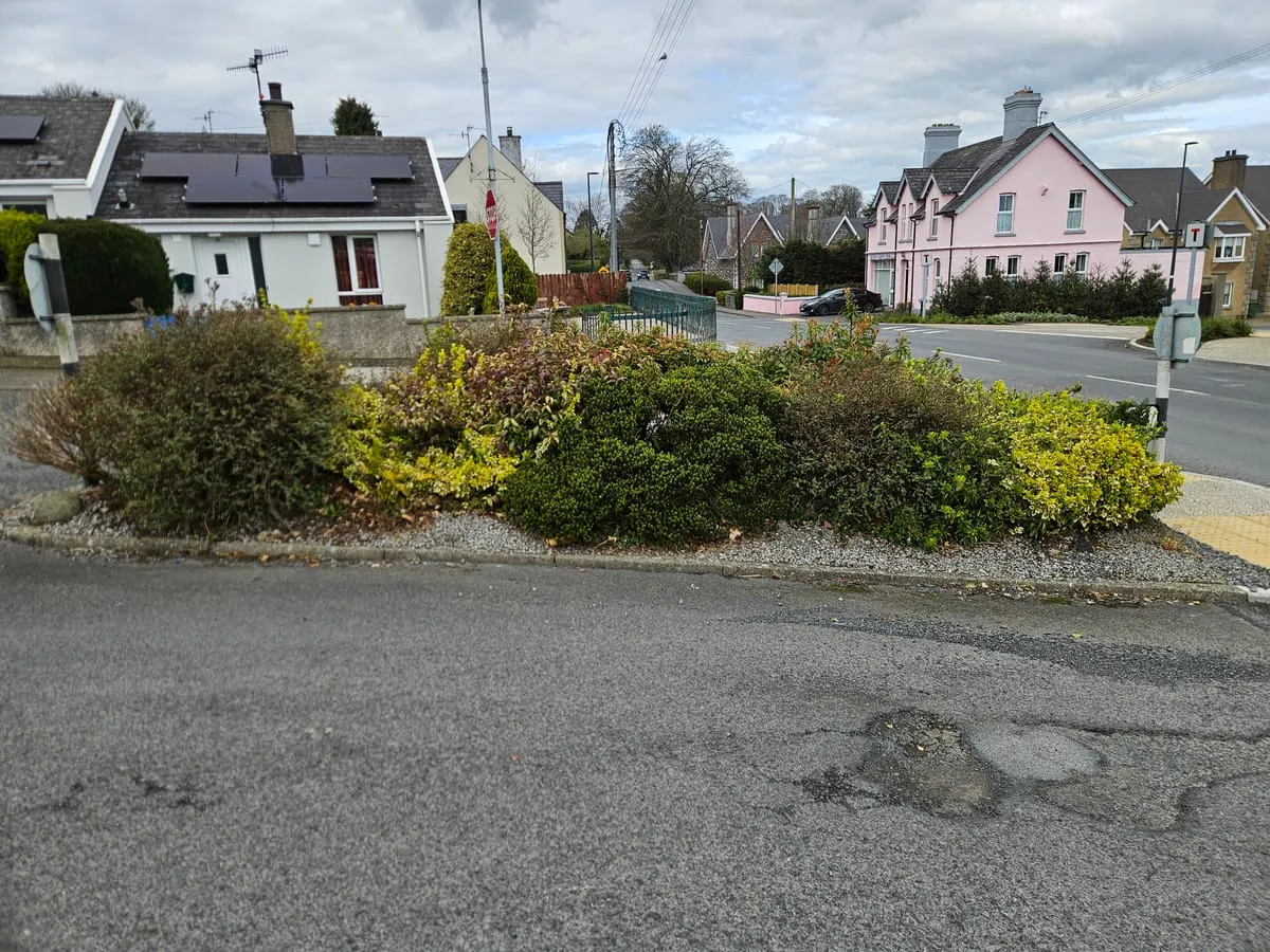 The area before the Tidy Towns work