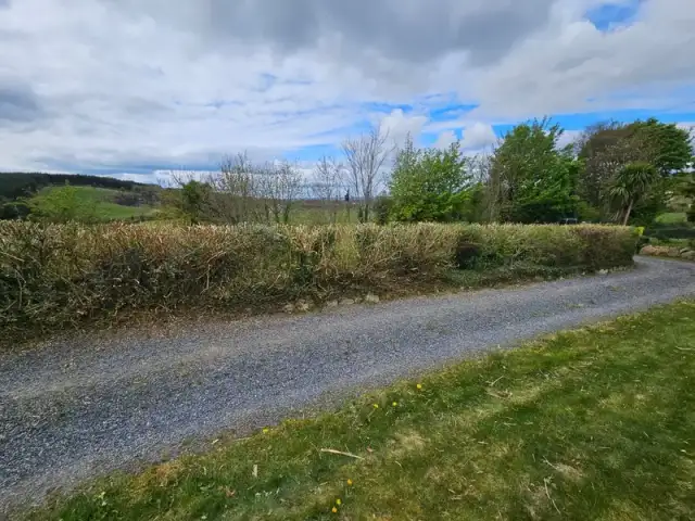 Hedge Trimming